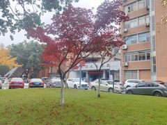 -四川大学(望江校区)