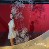 沈阳看展| M56美术馆 洞穴之外发光展🌄