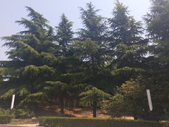 -铁道游击队纪念馆