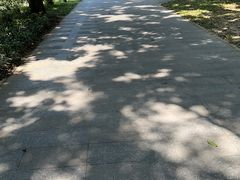 -荔枝公园-小平画像广场