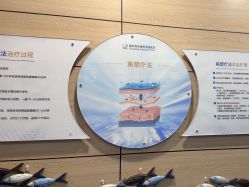 -重庆联合丽格第五医疗美容医院