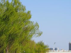 -蠡湖大桥公园