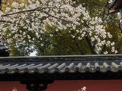 -寒山寺