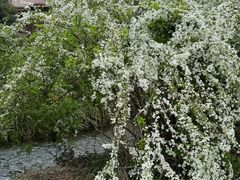-中国茶叶博物馆(双峰馆区)