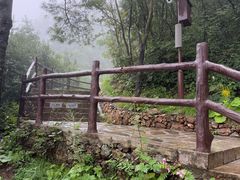 -秦岭天竺山生态文化旅游景区