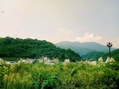 -虹口漂流