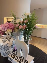 点击看大图 -栖SPA·ONDA ·海菲秀·皑皑科技美肤中心
