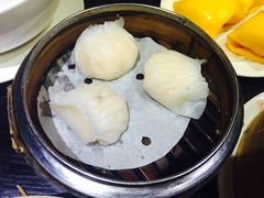 -糖朝(尖沙咀店)