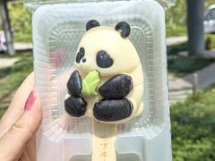 -卧龙中华大熊猫苑神树坪基地
