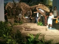 -自贡恐龙博物馆