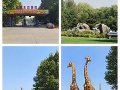 -北京野生动物园
