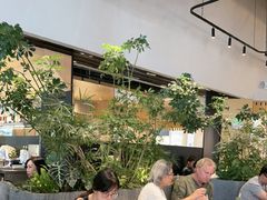-gaga(深圳福田星河COCO Park店)