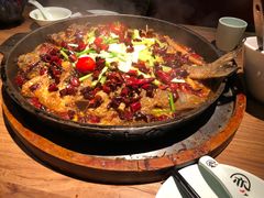 -老板恋上鱼(印象城店)