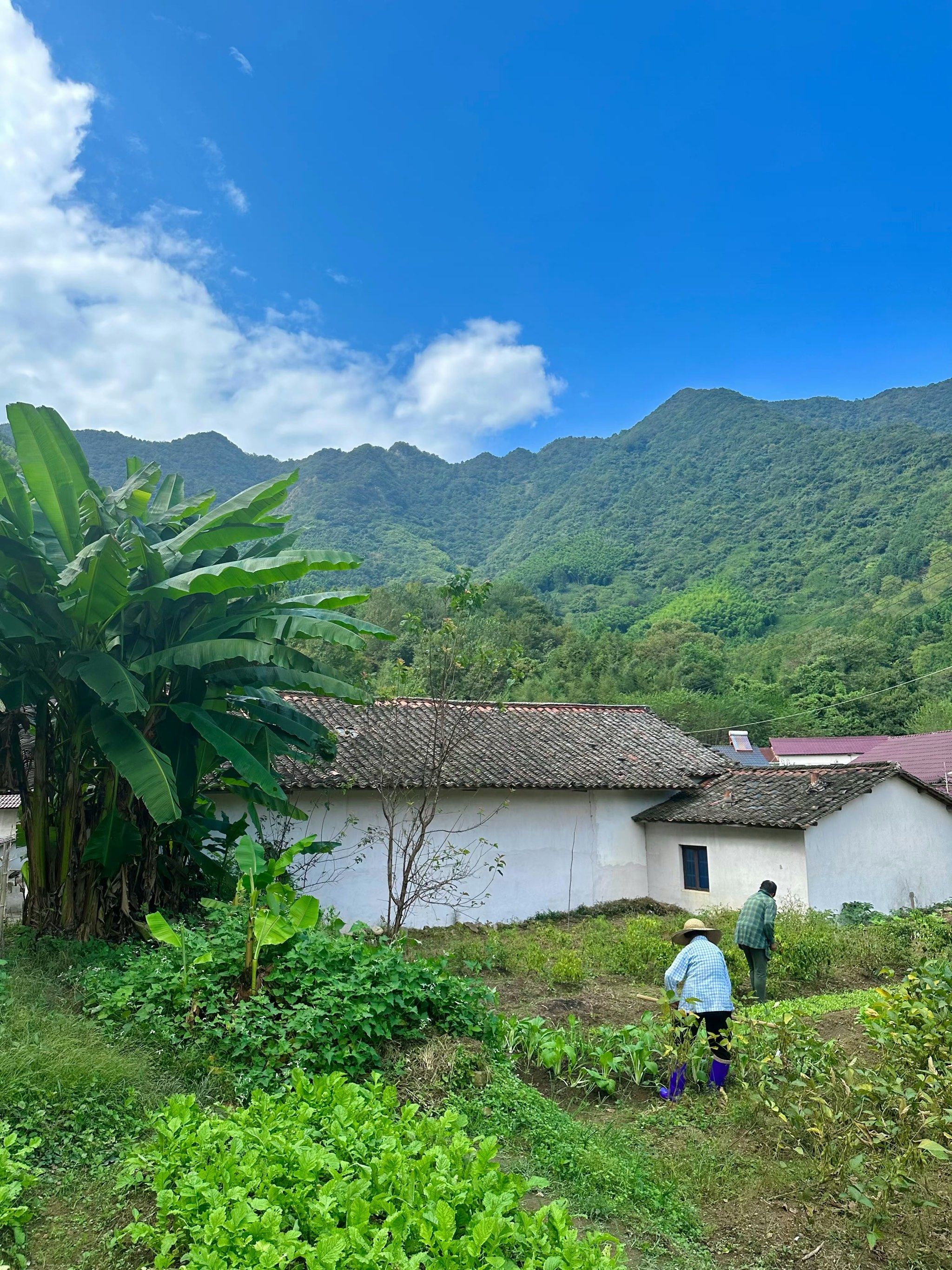 乡村生活乐无边