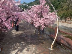 -山叶口景区