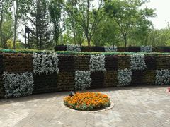 -武清南湖绿博园