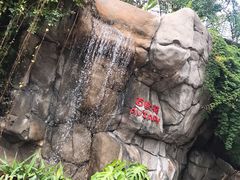 -九龙公园
