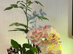 -瓦库茶馆17号(海汇港店)