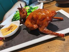 红烧鸽-大鸽饭(岗顶店)