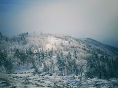 景点-亚布力新体委滑雪场