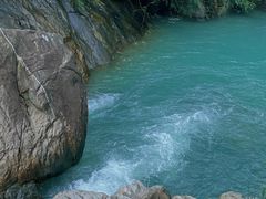 -广州白江湖森林公园