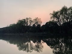 -新江湾城公园