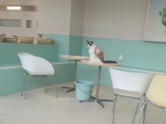 -怪兽屋·羊驼·猫咖·狗咖(俊华广场店)
