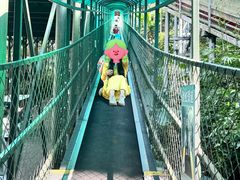 -海南槟榔谷黎苗文化旅游区