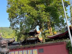 -峨眉山报国寺