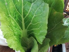 小白菜-小龙坎老火锅(北京三里屯店)