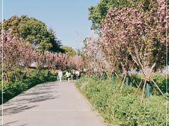 -上海杨姆庄园