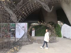-证大喜玛拉雅中心