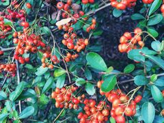 -长沙大成国际大酒店