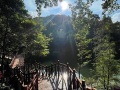 -广州市石门国家森林公园