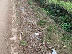 -白鹭湾湿地公园