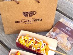 -喜马拉雅森HIMALAYAN FOREST
