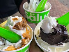 -Salud撒露欧洲冻酸奶(蓝色港湾店)