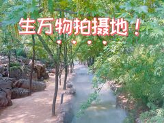 -红嫂家乡旅游区