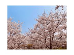 -苏州上方山国家森林公园