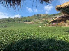 -优游吧斯邹族文化部落