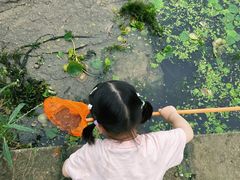 -九里河湿地公园