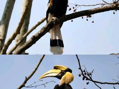 -南昌动物园