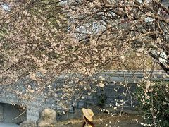 -国际非物质文化遗产博览园