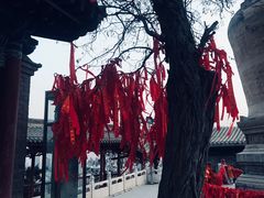 -白塔山公园
