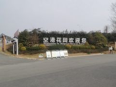 -空港花田景区