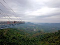 -呀诺达热带雨林