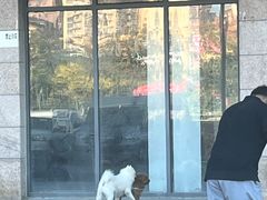 -東更道点心行(北京龙湖熙悦天街店)