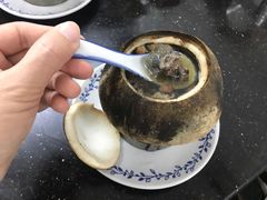 原只椰子炖竹丝鸡-達揚原味燉品(文明路店)
