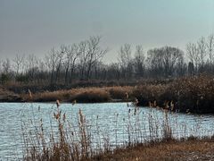 -盐城丹顶鹤湿地生态旅游区