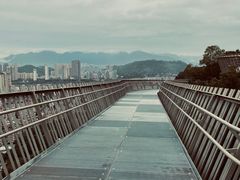 -福道